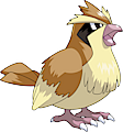 Monster Pidgey