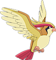 Monster Pidgeot