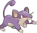 Monster Rattata