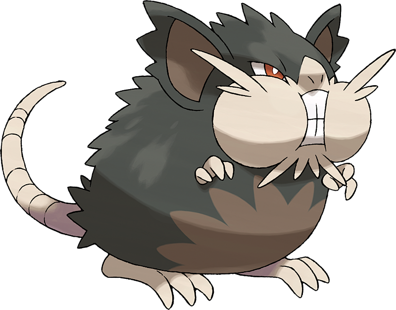 [Image: 16020-Alolan-Raticate.png]