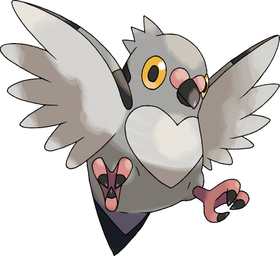 Pokemon 519 Pidove Pokedex: Evolution, Moves, Location, Stats.