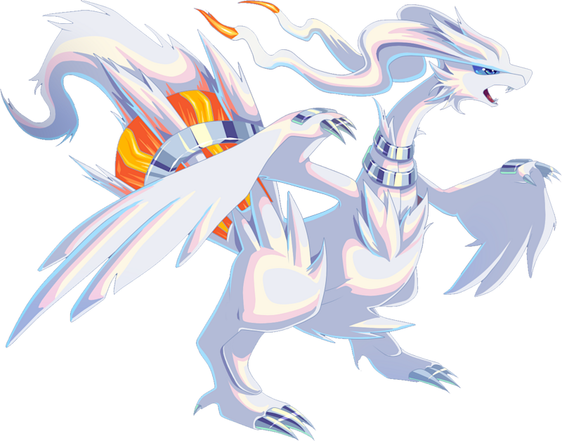 Reshiram and Zekrom Event on Nintendo Wi-Fi Connection 