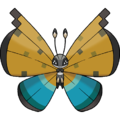 Pokemon 4684 Vivillon Pokeball Pokedex Evolution Moves Location Stats