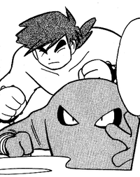 ◓ Pokédex Completa: Hitmonlee (Pokémon) Nº 106
