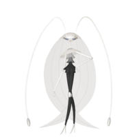 Pheromosa - #795 -  Pokédex