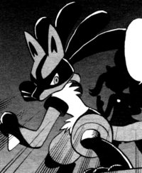 Onasc M - Mega Lucario