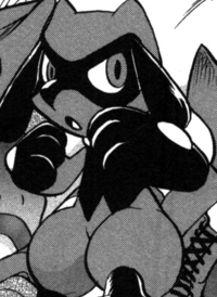 Pokemon #10448 Shiny-Mega-Lucario Mega-S Picture - For Pokemon Go Players