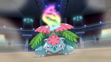 Pokemon 8003 Mega Venusaur Pokedex Evolution Moves Location Stats