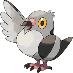 Pokemon 519 Pidove Pokedex: Evolution, Moves, Location, Stats