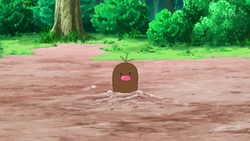 Pokemon 2050 Shiny Diglett Pokedex: Evolution, Moves, Location, Stats