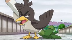 Farfetch'd de Silvester, Pokémon Wiki