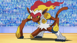 Infernape - #392 -  Pokédex