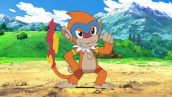 Pokemon 2391 Shiny Monferno Pokedex: Evolution, Moves, Location, Stats