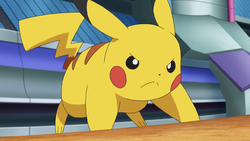 Pokemon 6026 Shiny Pikachu Belle Pokedex: Evolution, Moves