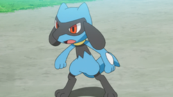 Pokemon #10448 Shiny-Mega-Lucario Mega-S Picture - For Pokemon Go Players