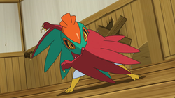 Hawlucha - Pokédex