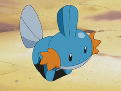 Pokemon 2258 Shiny Mudkip Pokedex: Evolution, Moves, Location, Stats