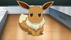 Pokemon 6133 Shiny Eevee Partner Pokedex: Evolution, Moves