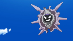 Pokemon 91 Cloyster Pokedex: Evolution, Moves, Location, Stats