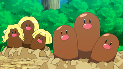 Shiny Diglett/Dugtrio (Alola Form) 6IV - Pokemon S/M US/UM Let's Go  Sword/Shield