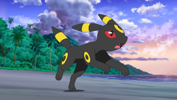 Pokemon 2197 Shiny Umbreon Pokedex: Evolution, Moves, Location, Stats