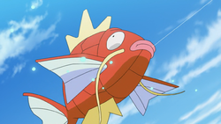 Pokemon 2129 Shiny Magikarp Pokedex: Evolution, Moves, Location, Stats