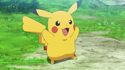 Pokemon 6026 Shiny Pikachu Belle Pokedex: Evolution, Moves