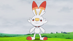 Scorbunny - #813 -  Pokédex