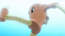 Hitmonlee • サワムラー, Wiki