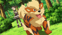 Arcanine - #0059 -  Pokédex