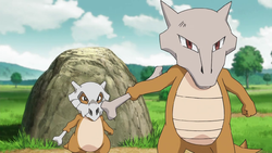 Marowak (Pokémon) - Bulbapedia, the community-driven Pokémon encyclopedia