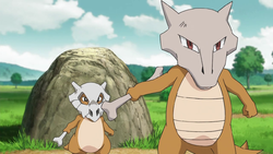 ◓ Pokédex Completa: Marowak (Pokémon) Nº 105