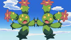 Pokemon 2556 Shiny Maractus Pokedex: Evolution, Moves, Location, Stats