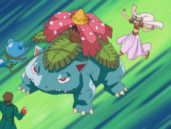 Mega Venusaur, Pokédex