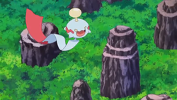 Pokemon 10888 Shiny Mega Zacian Pokedex: Evolution, Moves