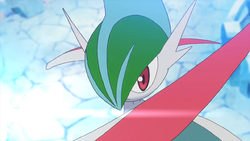 Pokemon 10475 Shiny Mega Gallade Pokedex: Evolution, Moves, Location, Stats