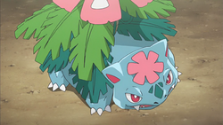 Pokemon 10003 Shiny Mega Venusaur Pokedex: Evolution, Moves, Location, Stats