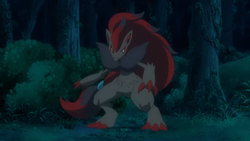 Pokemon Ultra Sun and Moon Pokemon EXPO Gym Zoroark Japan Event