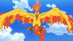 Pokemon 2146 Shiny Moltres Pokedex: Evolution, Moves, Location, Stats