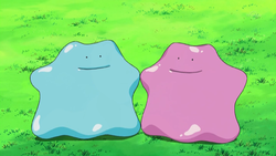 If ditto's unused evolution was found shiny in-game