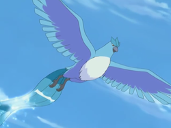 Pokemon 2144 Shiny Articuno Pokedex: Evolution, Moves, Location, Stats