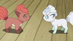 Pokemon 16037 Alolan Vulpix Pokedex: Evolution, Moves, Location, Stats