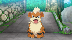 Growlithe - #058 -  Pokédex