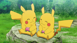 Pikachu Pokédex: stats, moves, evolution & locations