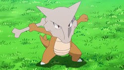 Pokemon 8105 Mega Marowak Pokedex: Evolution, Moves, Location, Stats