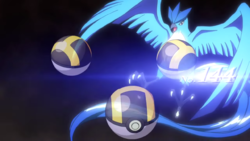 Pokemon 18144 Shiny Galarian Articuno Pokedex: Evolution, Moves