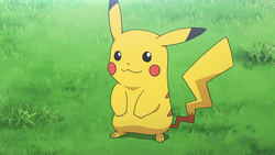 Pokemon 4025 Pikachu Rockstar Pokedex: Evolution, Moves, Location, Stats