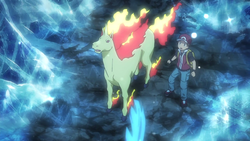 Ponyta, pokemon Mega, Rapidash, infrastructure, coaching, pokedex,  Reindeer, Flame, Evolution, Mega