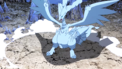 Vaur's Shiny Reshiram, Our Epic Pokemon Battles Wikia