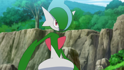 Gallade  Pokédex